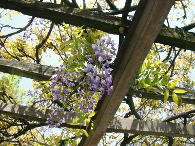 津田鍼灸院